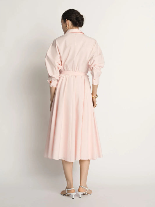 Veronika Maine Cotton Tie Belt Shirtdress - Sizes 10, 12, 14 & 16 Available